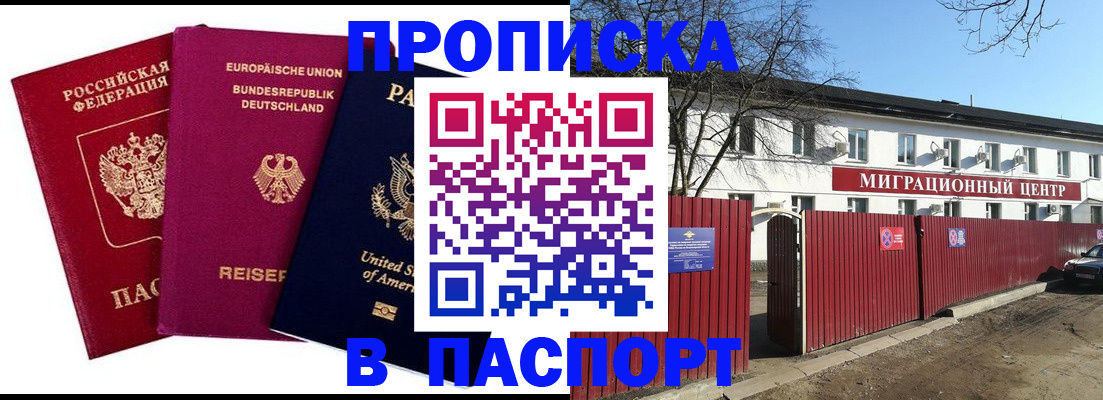 прописка в квартире в Кольчугино